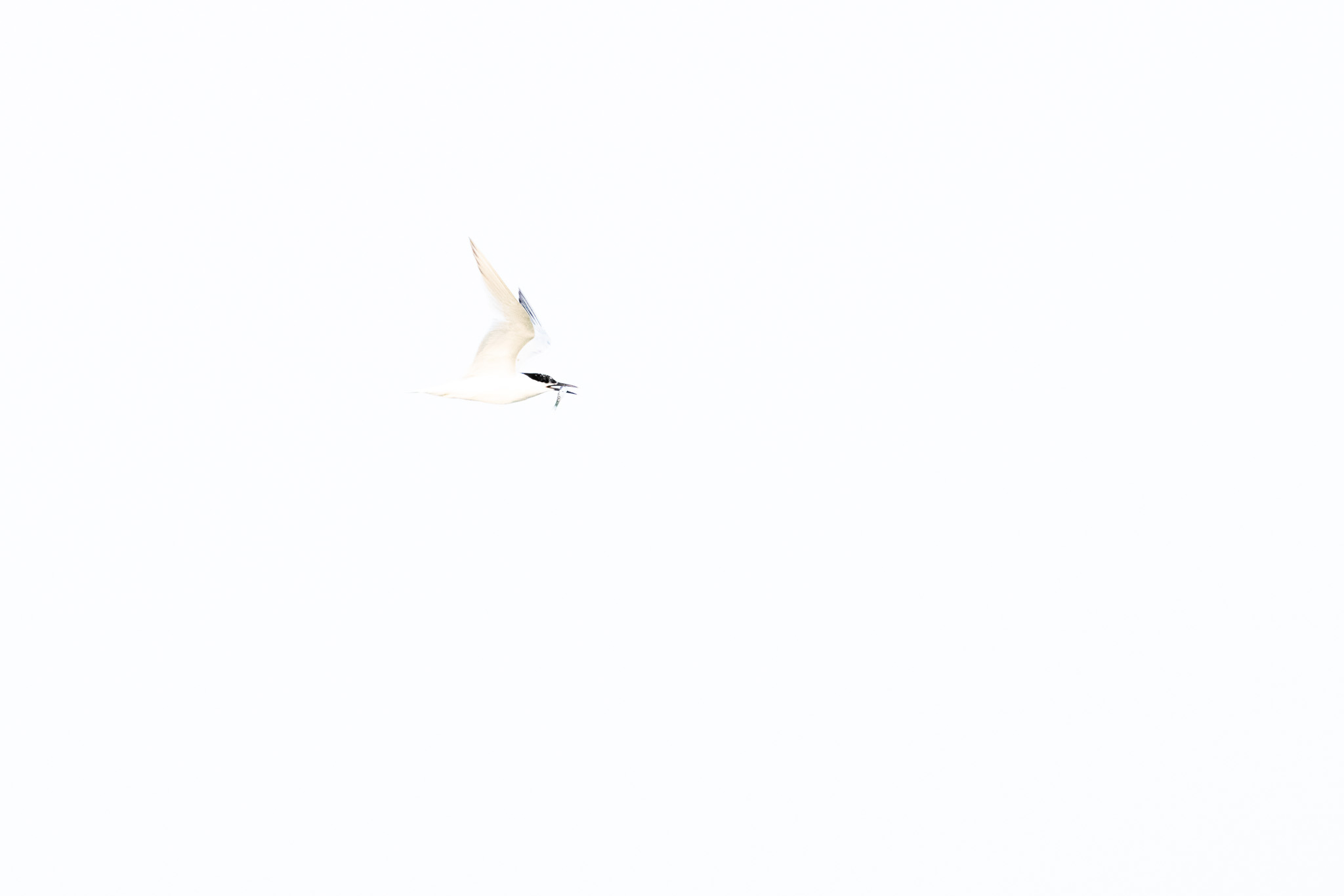 2u7a8374
